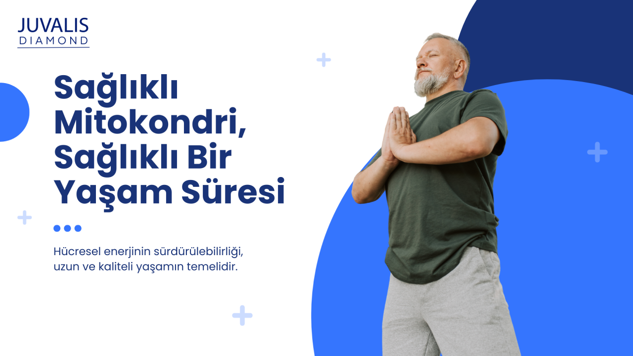 Sağlıklı Mitokondri, Sağlıklı Bir Yaşam Süresi